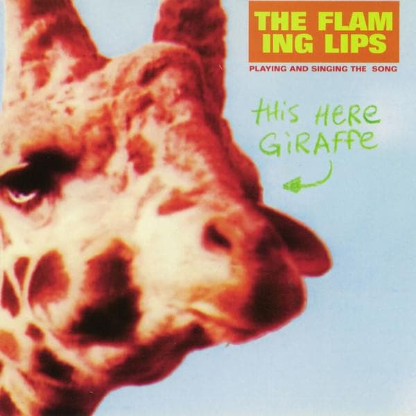 Album cover art for "This Here Giraffe" by The Flaming Lips