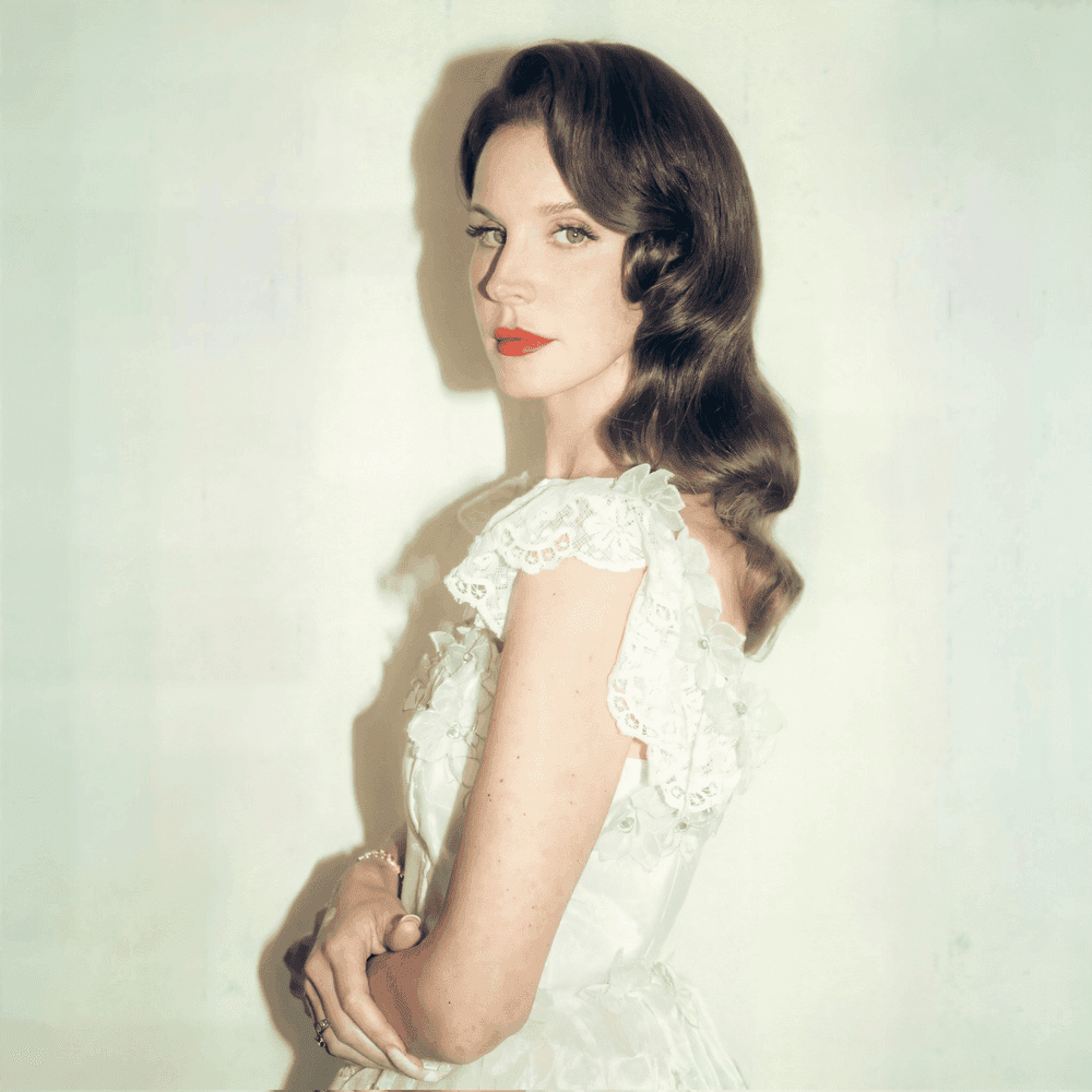 Cover image for Stove