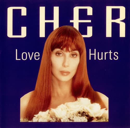 Album cover art for "Love Hurts (1991 Version)" by Cher