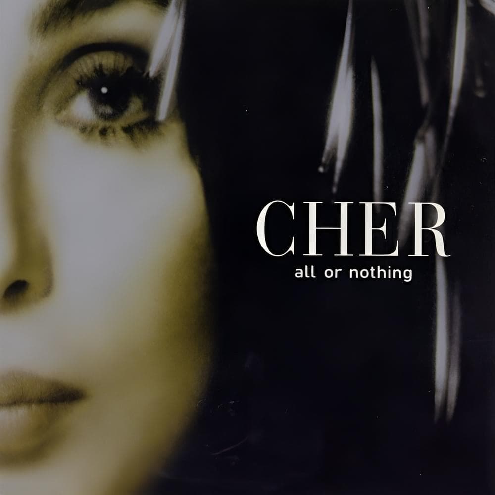Album cover art for "All or Nothing" by Cher