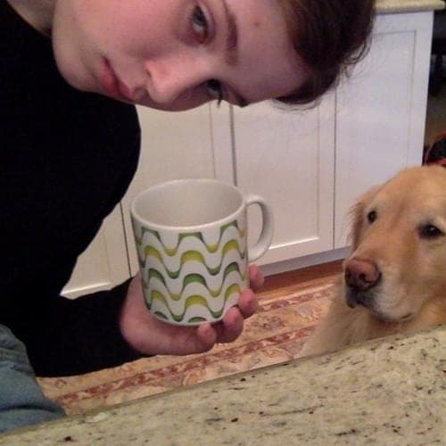 Album cover art for "girl girl girl" by Clairo