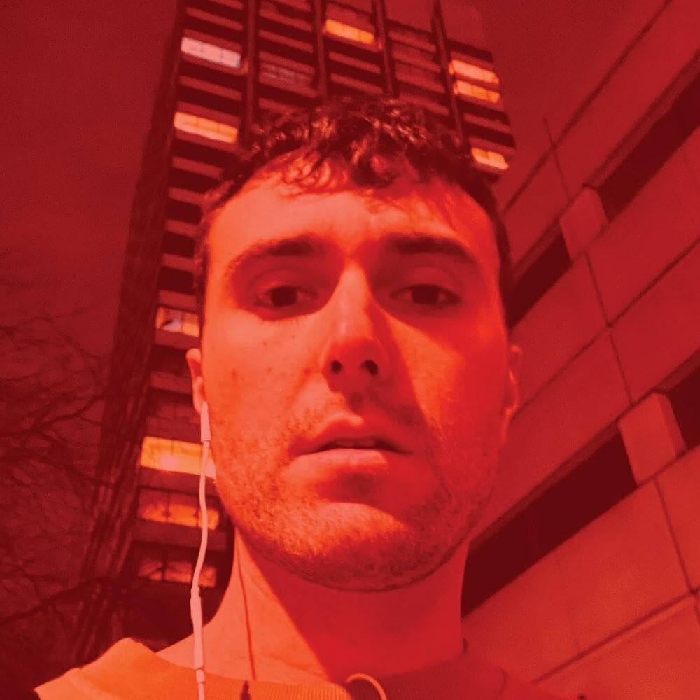 Cover image for Actual Life (April 14 - December 17 2020)