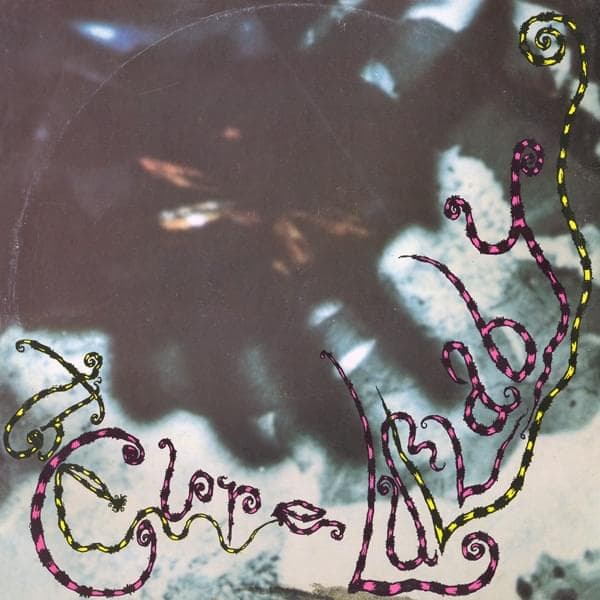 Album cover art for "Lullaby" by The Cure