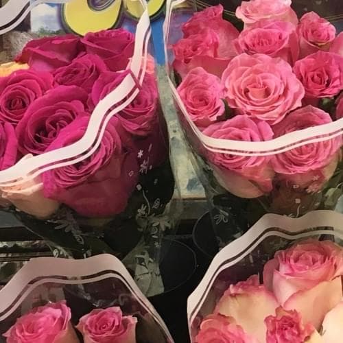 Album cover art for "edith" by Clairo