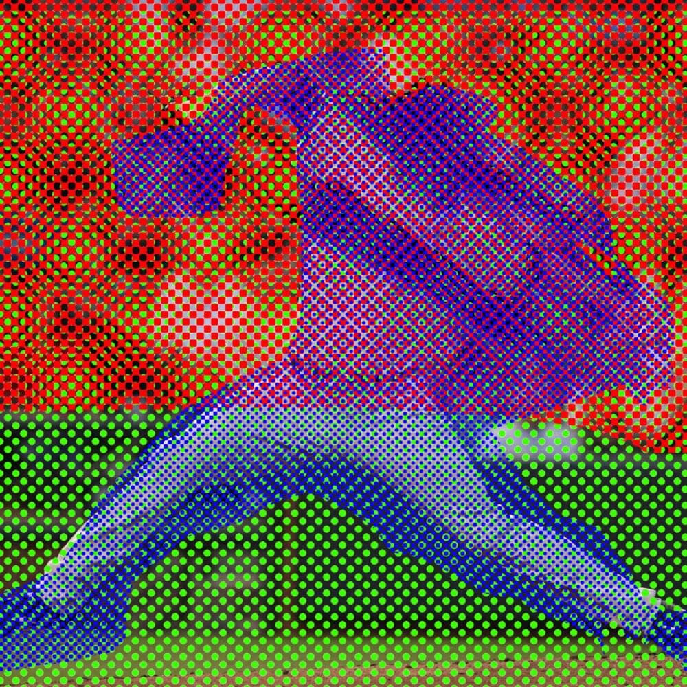 Album cover art for "​mike townsend (is a disappointment)" by ​the garages