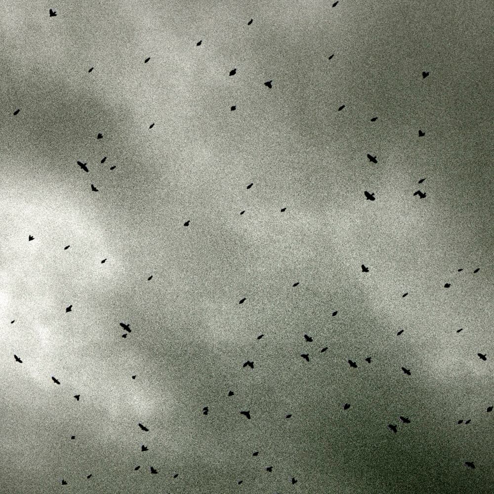 Album cover art for "33 Ghosts IV" by Nine Inch Nails