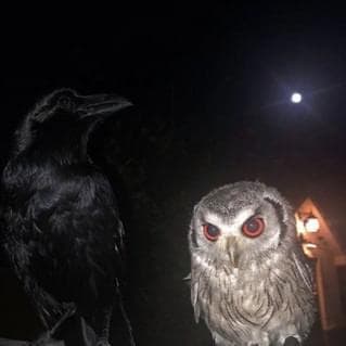 Photo of L-E (yoL_E_)