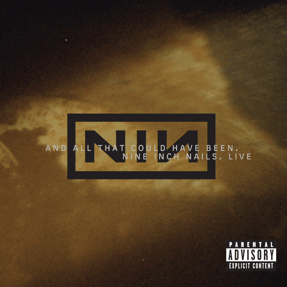 Album cover art for "Terrible Lie (Live)" by Nine Inch Nails