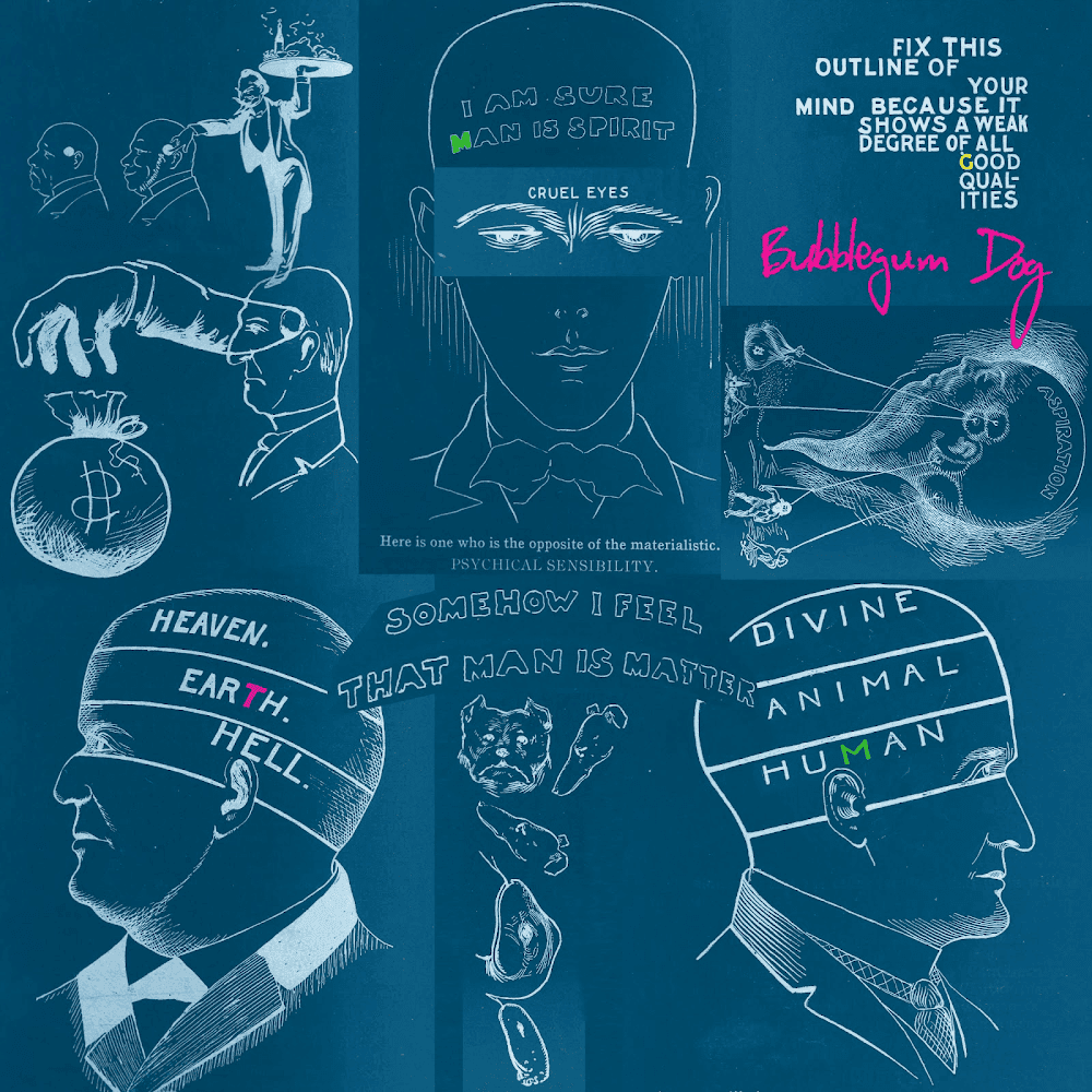 Album cover art for "Bubblegum Dog" by MGMT