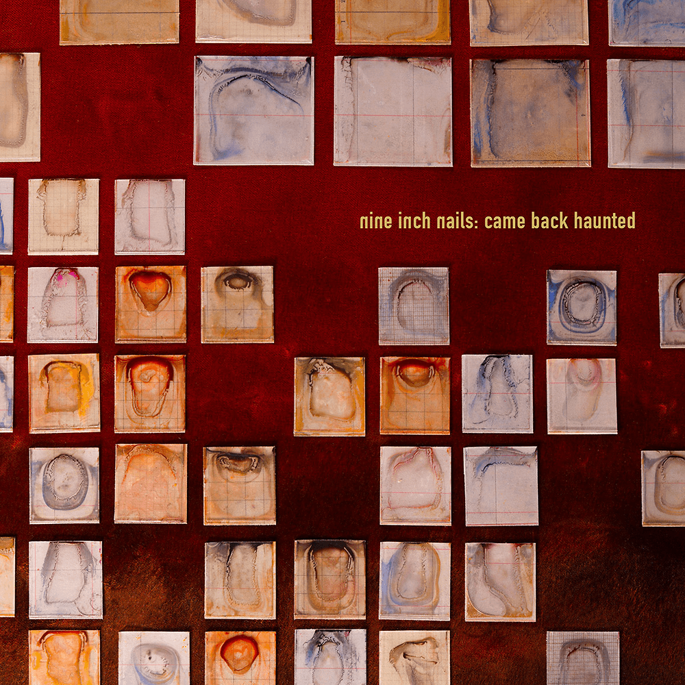 Album cover art for "Came Back Haunted" by Nine Inch Nails