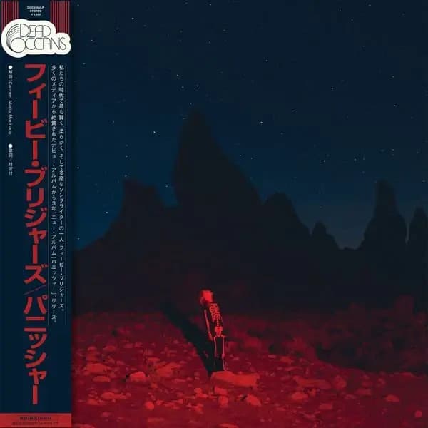 Cover image for Punisher (Japanese Edition)