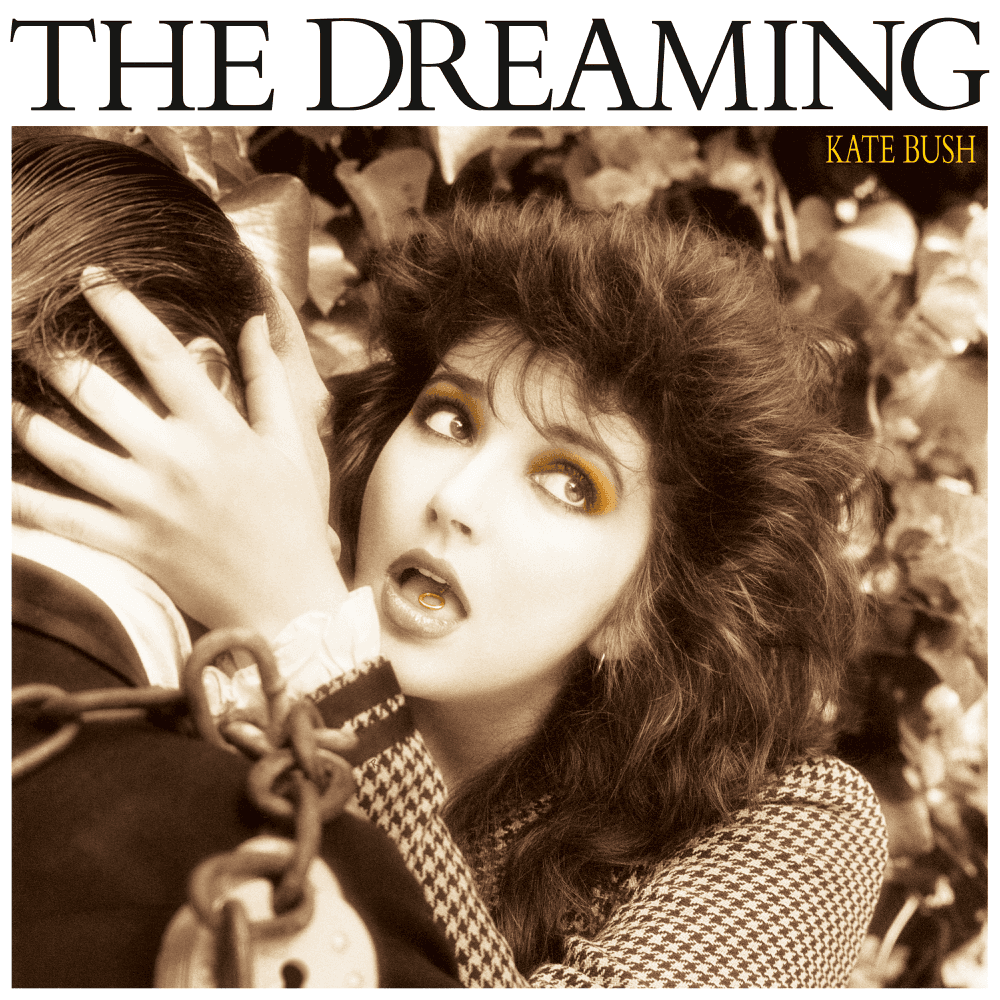 Cover image for The Dreaming