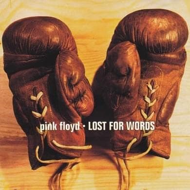 Album cover art for "Lost for Words" by Pink Floyd