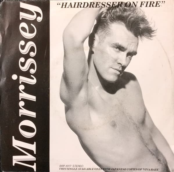 Album cover art for "Hairdresser on Fire" by Morrissey