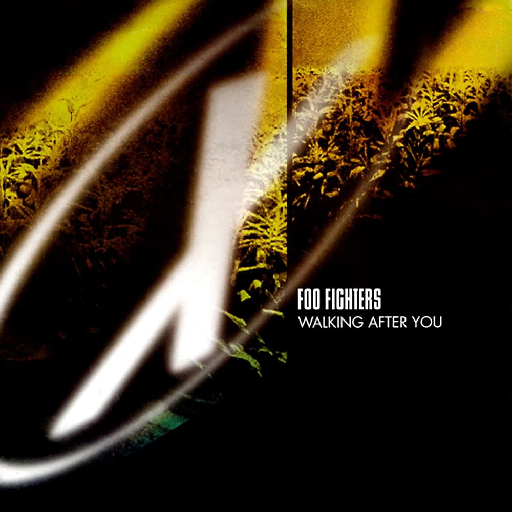 Album cover art for "Walking after You" by Foo Fighters