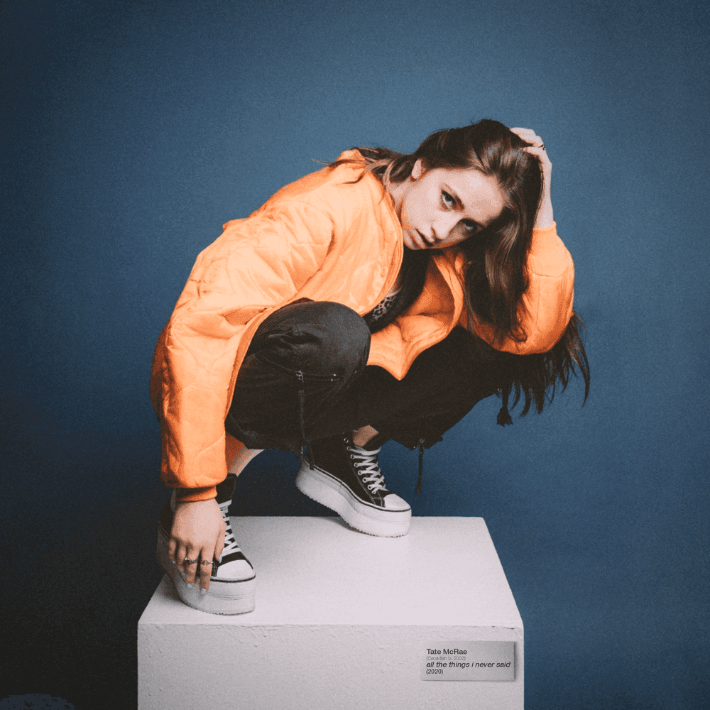 Cover image for all the things i never said