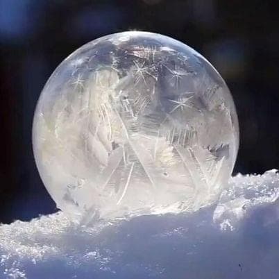 Cover image for Cold Tears (artist: Lil Force)