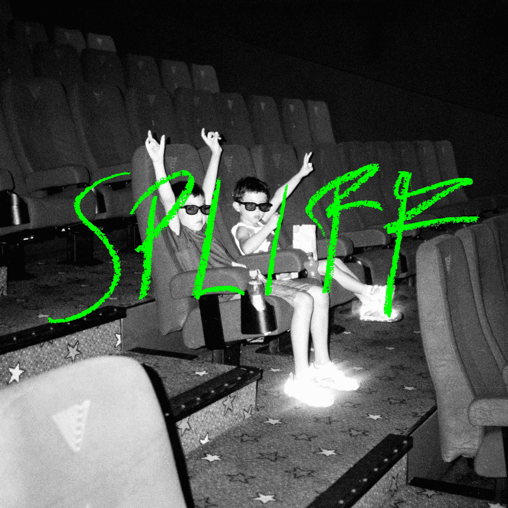 Album cover art for "Spliff" by Bilderbuch