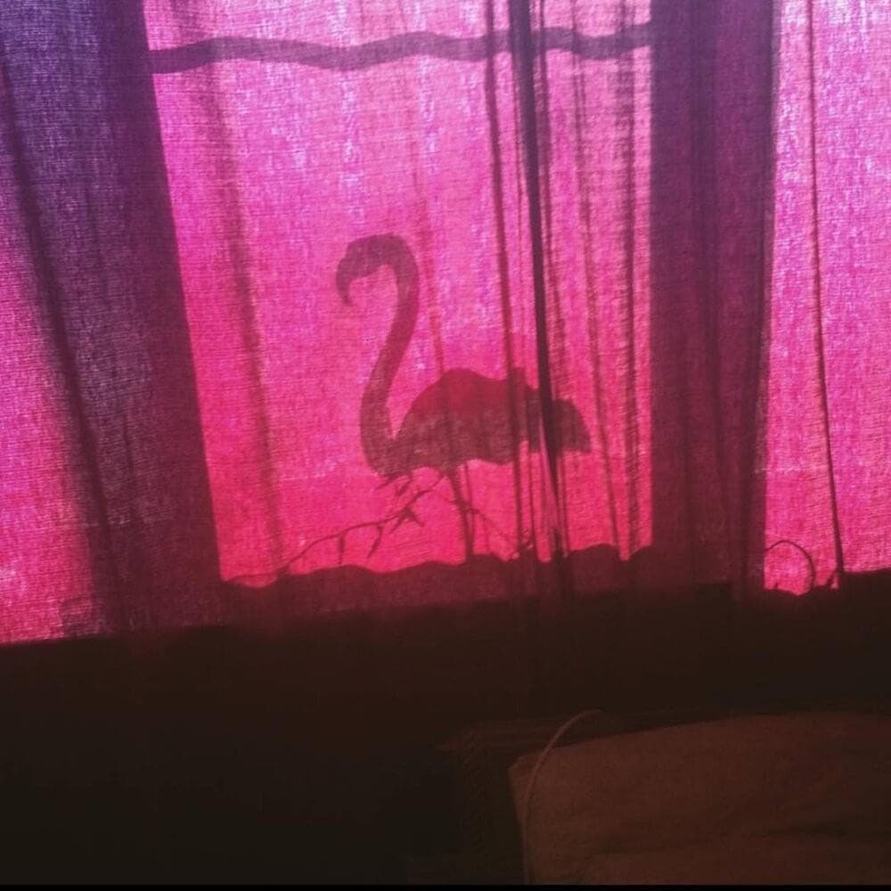 Cover image for багчейзинг (bugchasing)