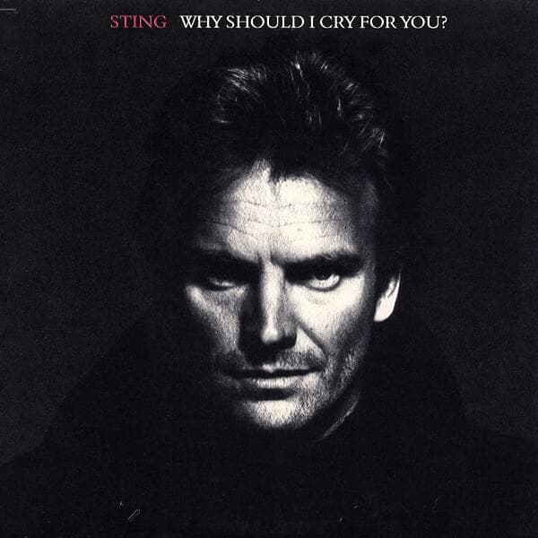 Album cover art for "Why Should I Cry for You?" by Sting