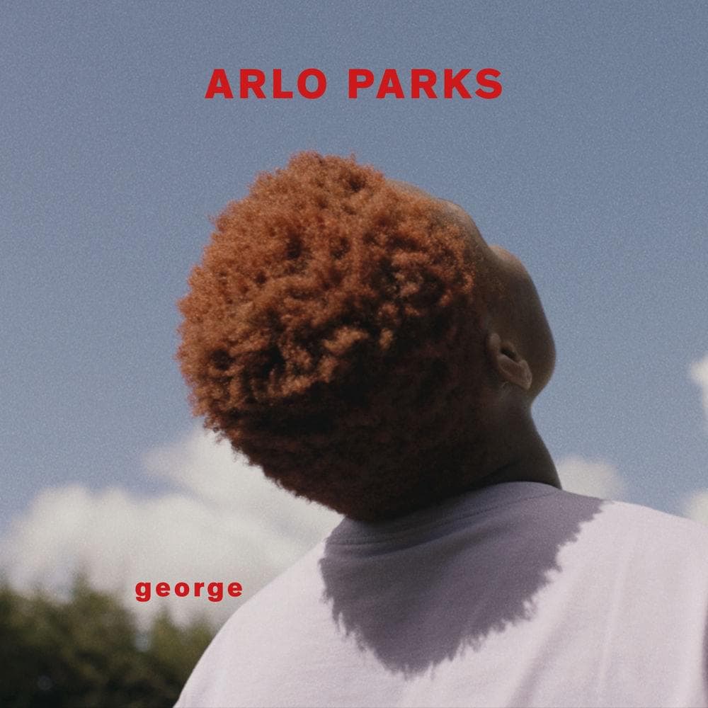 Album cover art for "George" by Arlo Parks