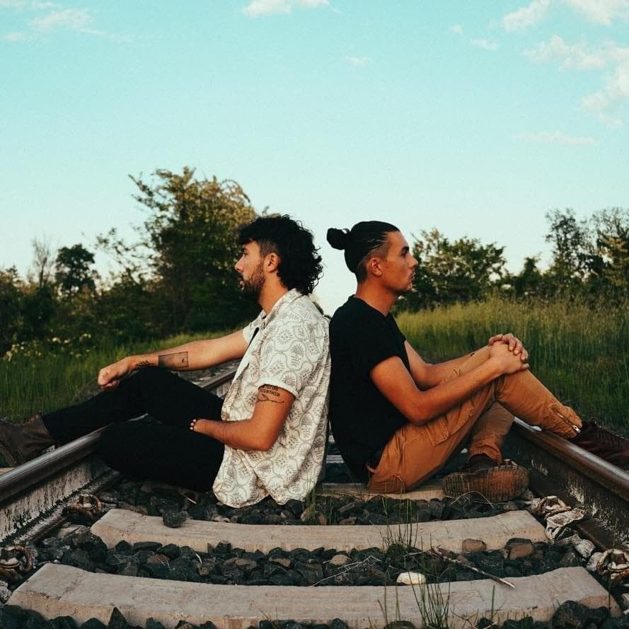 Cover image for I Boschi Bruciano