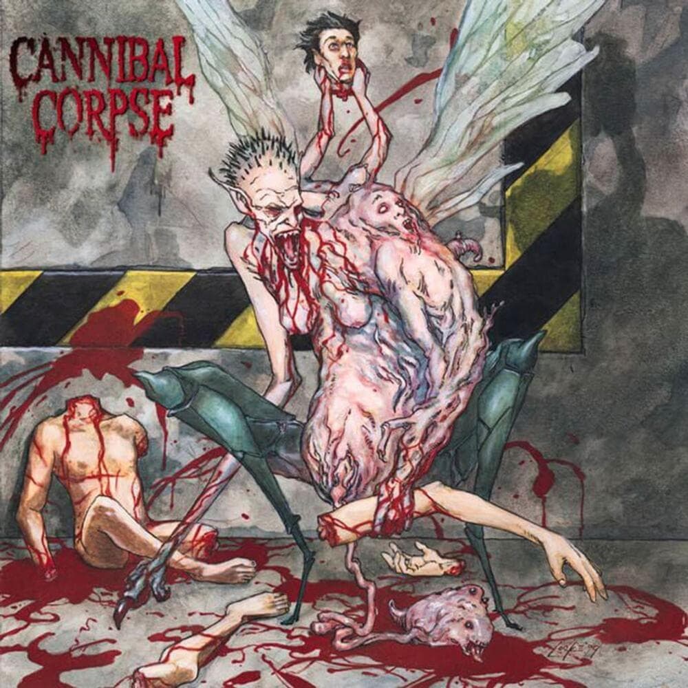 Album cover art for "Dead Human Collection" by Cannibal Corpse