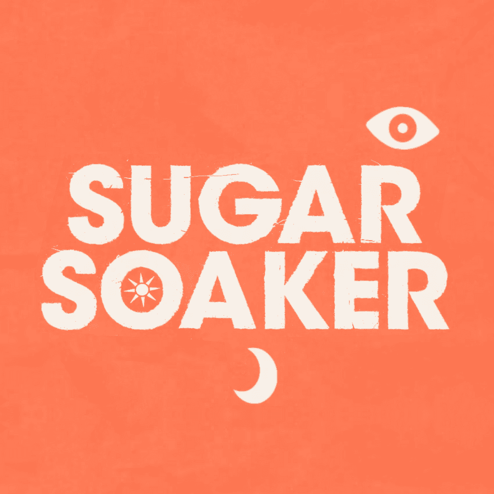 Album cover art for "Sugar Soaker" by Panic! at the Disco