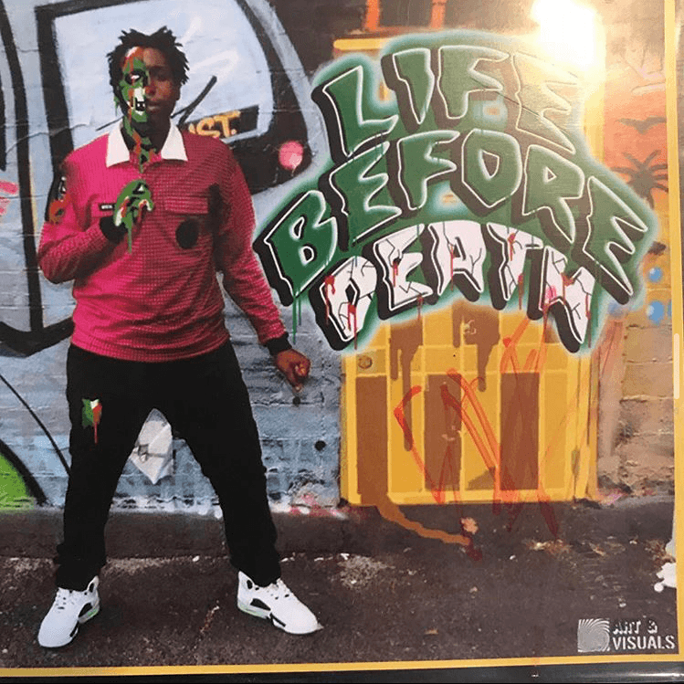 Cover image for Life Before Death