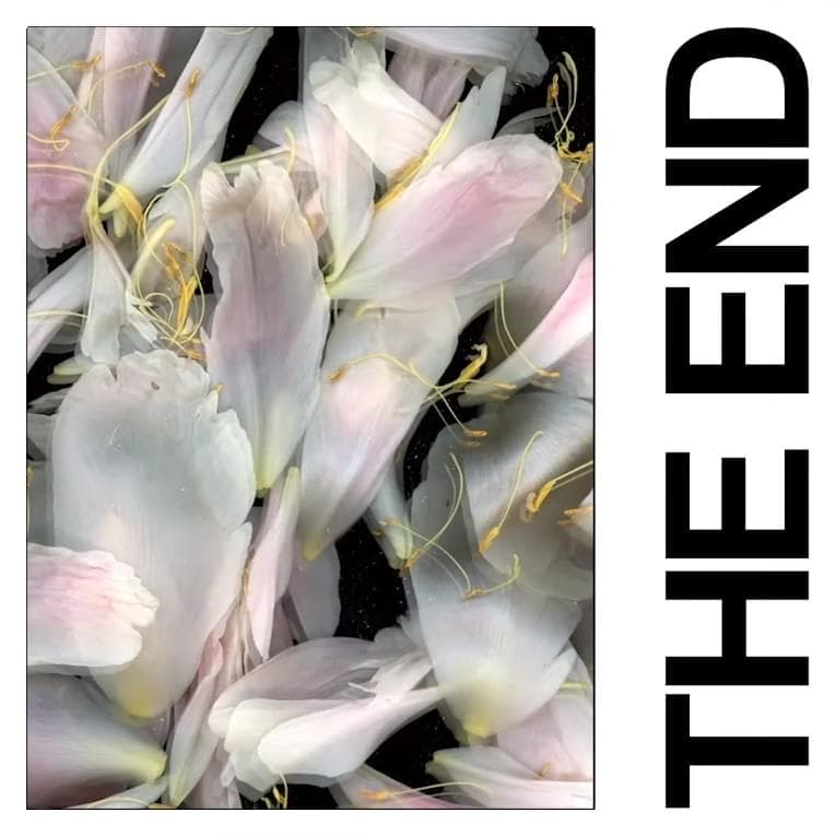 Album cover art for "The End" by IDLES