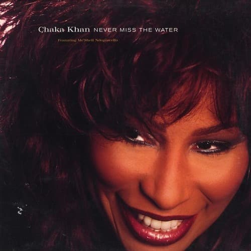 Album cover art for "Never Miss the Water" by Chaka Khan & Meshell Ndegéocello