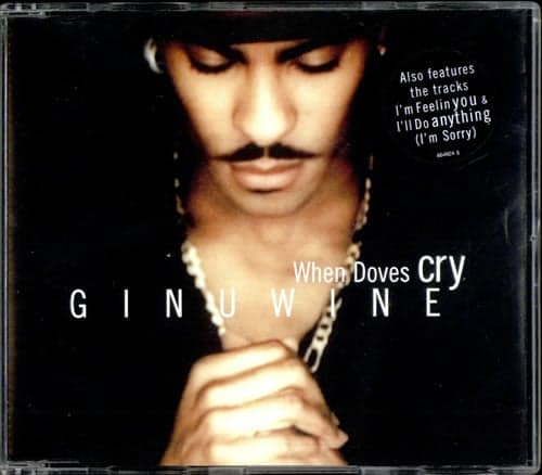 Album cover art for "When Doves Cry" by Ginuwine
