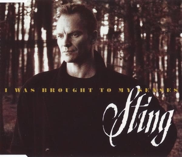 Album cover art for "I Was Brought to My Senses" by Sting
