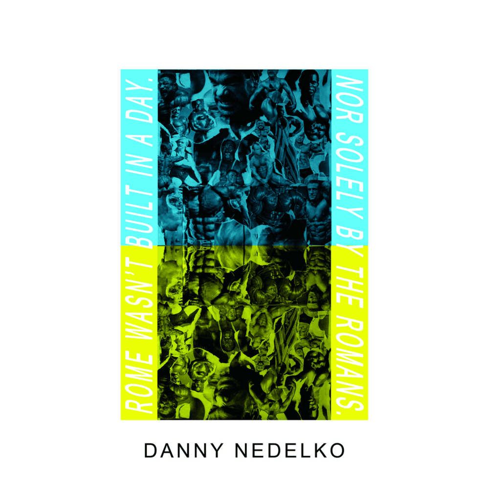 Album cover art for "Danny Nedelko" by IDLES
