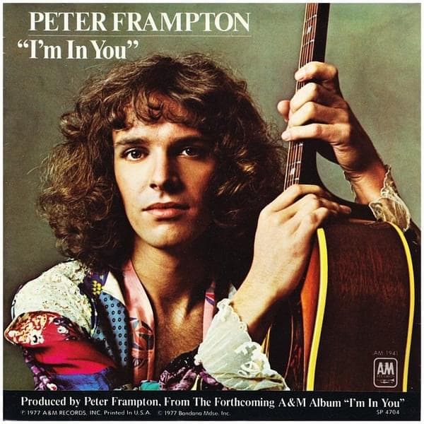 Album cover art for "I'm in You" by Peter Frampton