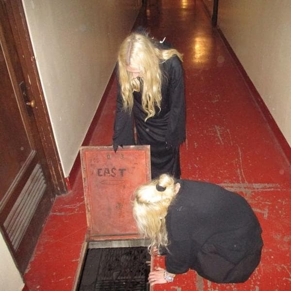 Album cover art for "stupid horse (Remix)" by 100 gecs & Count Baldor & GFOTY