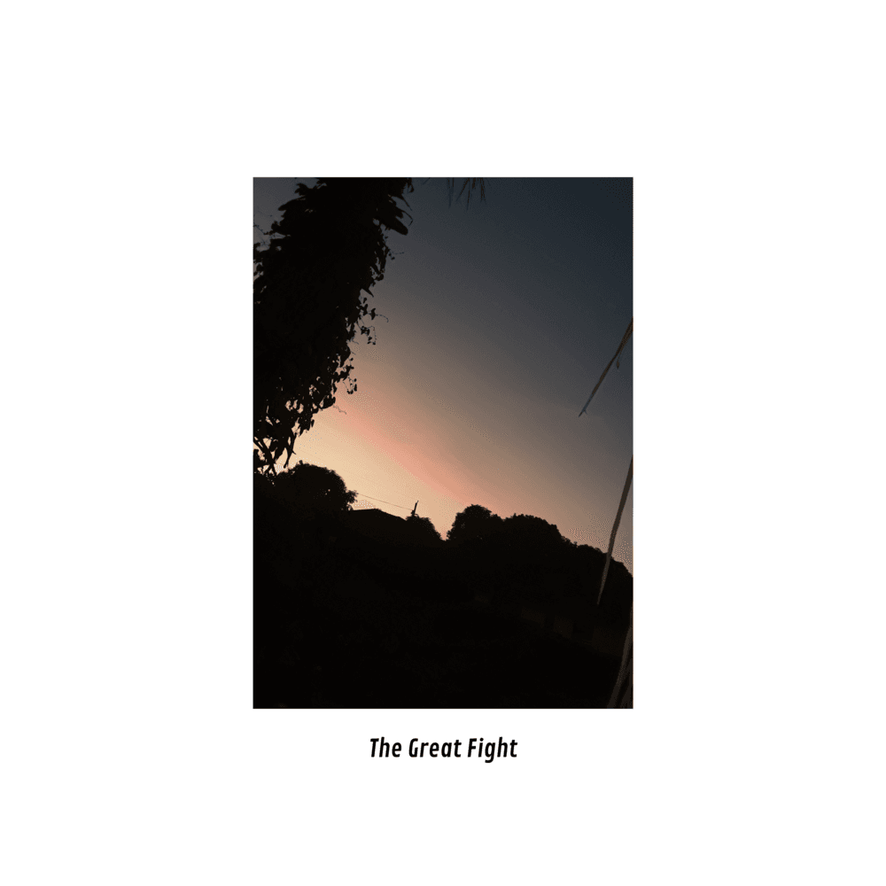 Cover image for The Great Fight