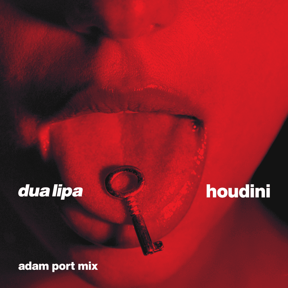Album cover art for "Houdini (Adam Port Mix)" by Dua Lipa