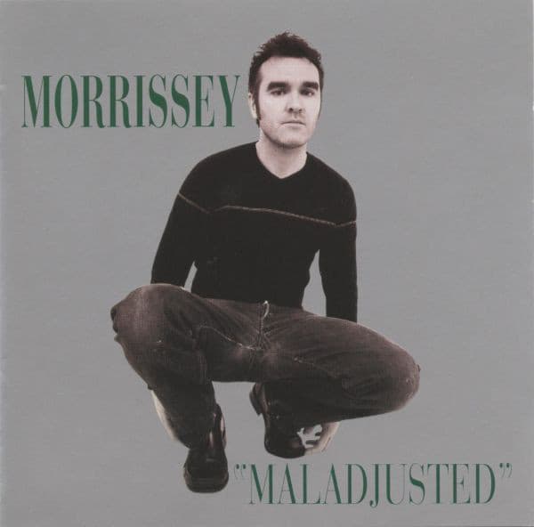 Cover image for Maladjusted