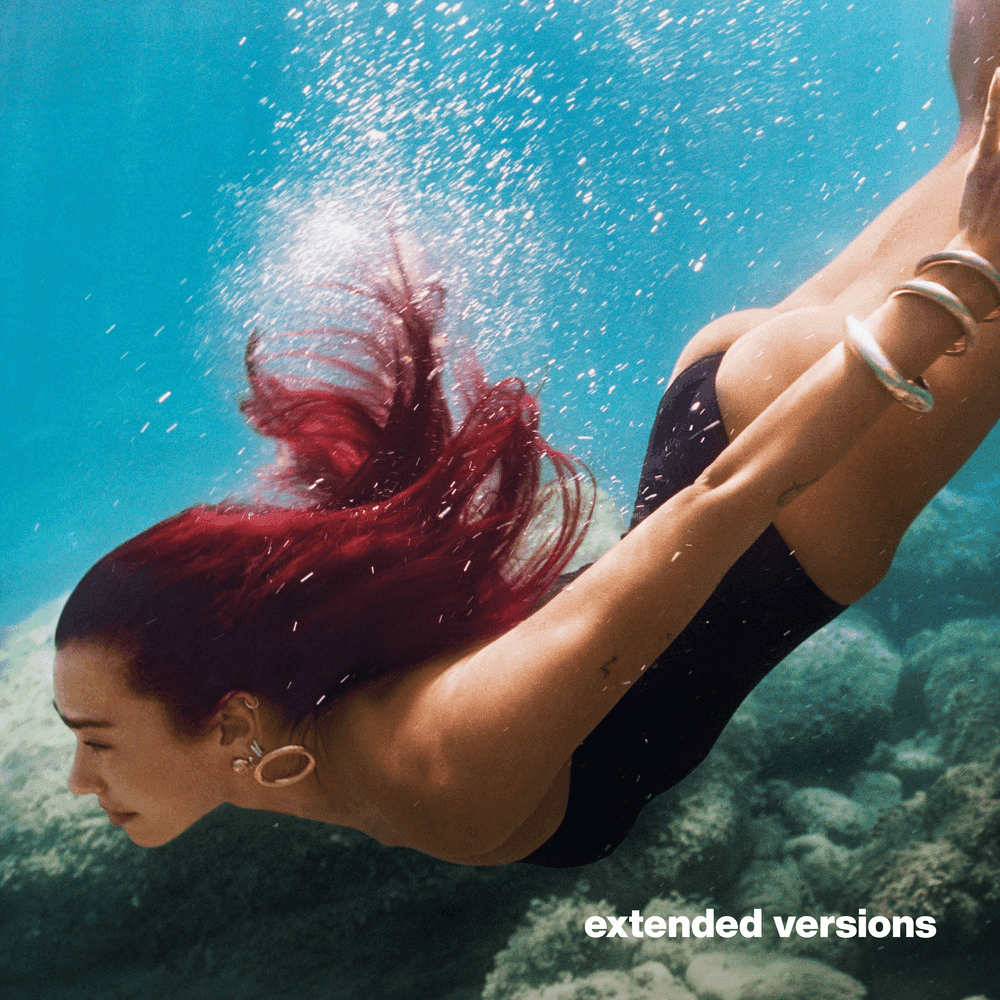 Cover image for Radical Optimism (Extended Versions)