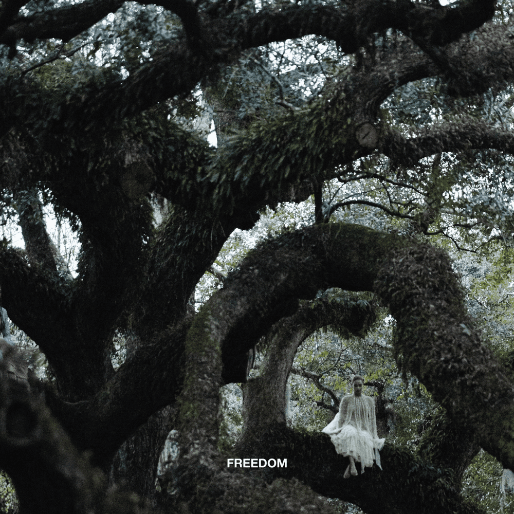 Album cover art for "Freedom" by Beyoncé & Kendrick Lamar