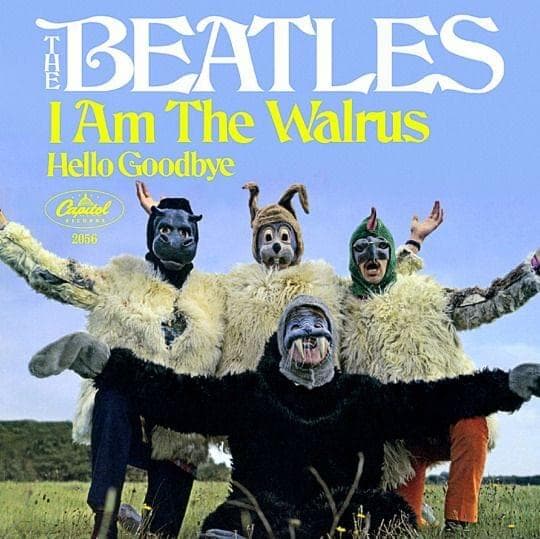 Album cover art for "I Am the Walrus" by The Beatles