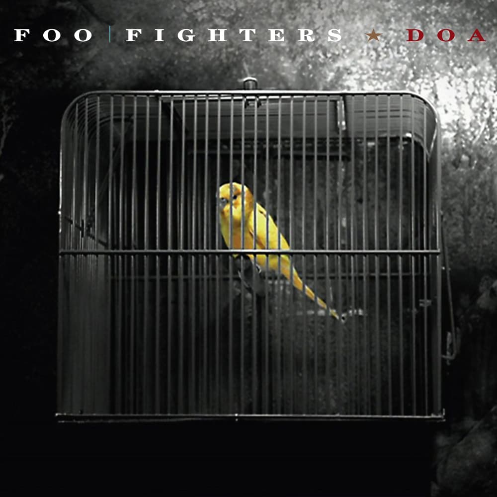 Album cover art for "DOA" by Foo Fighters