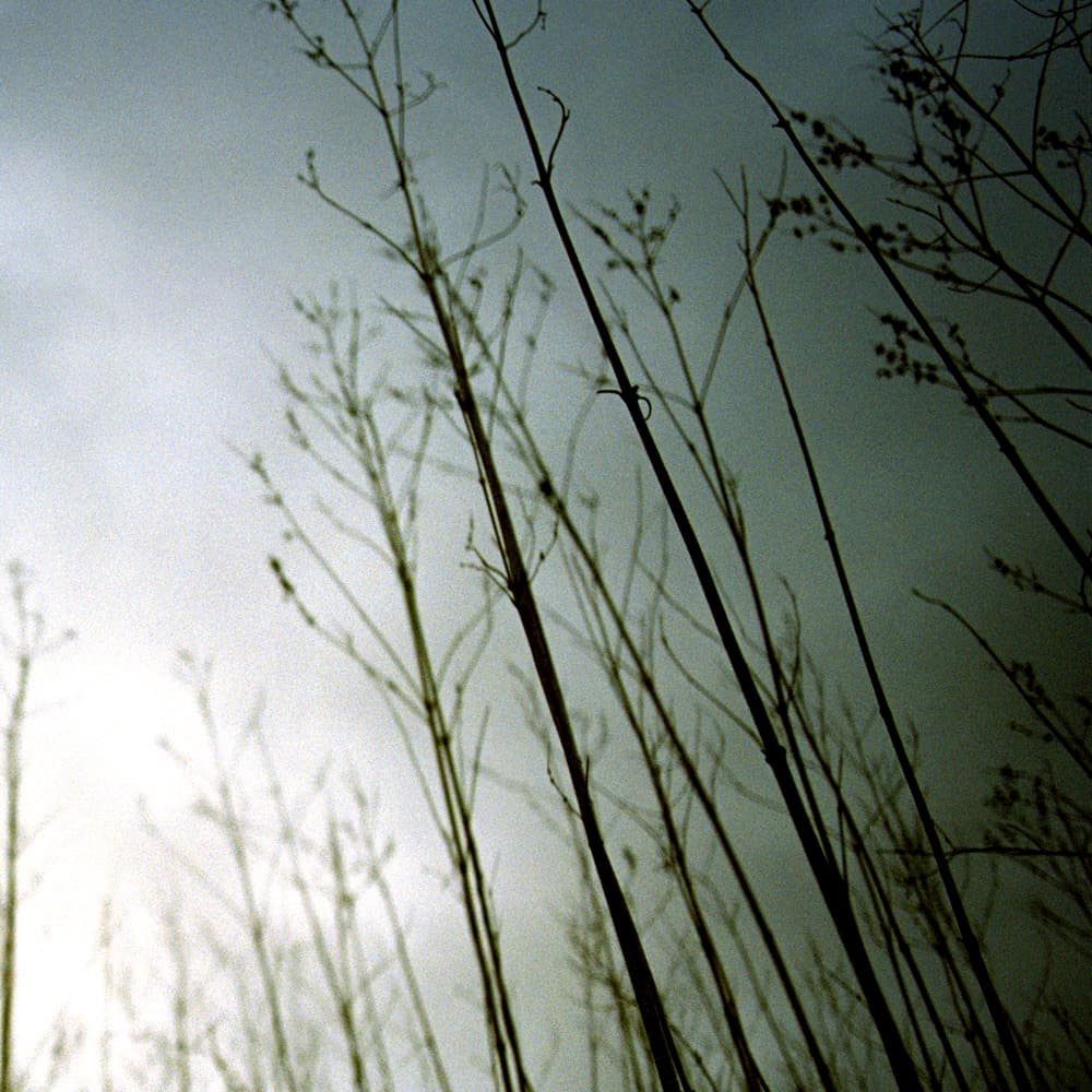 Album cover art for "25 Ghosts III" by Nine Inch Nails