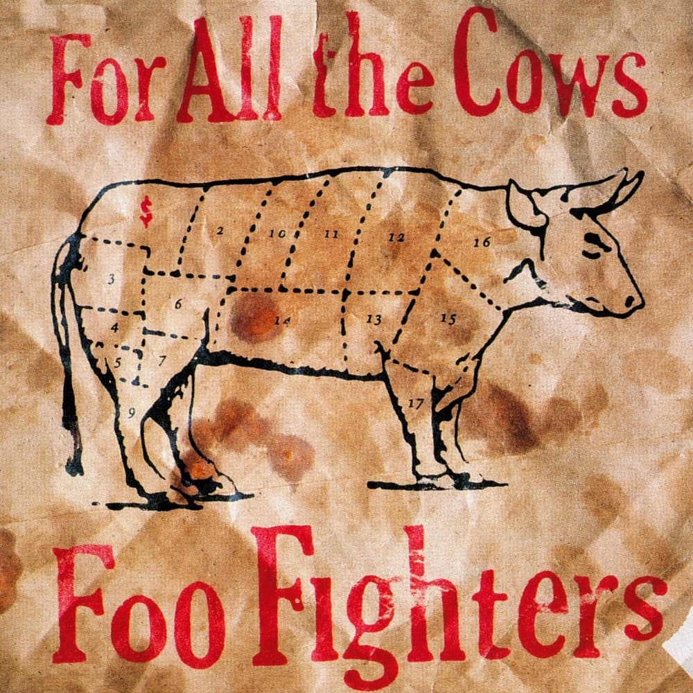 Album cover art for "For All the Cows" by Foo Fighters
