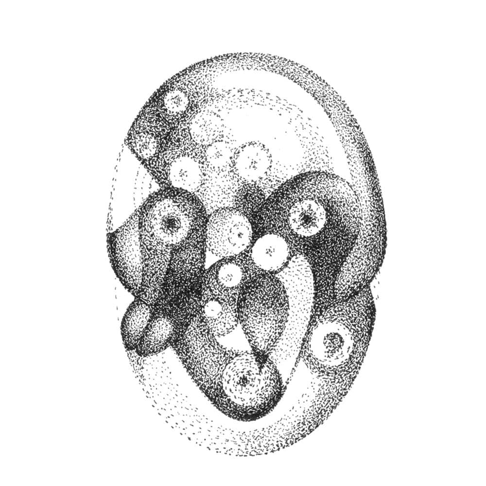 Album cover art for "Why (Warzone)" by Yoko Ono