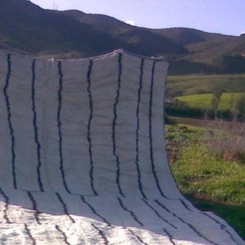 Album cover art for "survive" by Clairo