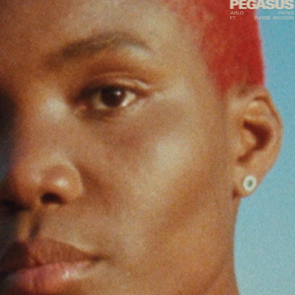 Album cover art for "Pegasus" by Arlo Parks & Phoebe Bridgers