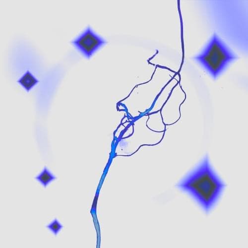 Album cover art for "Missed Connection" by Den Egore