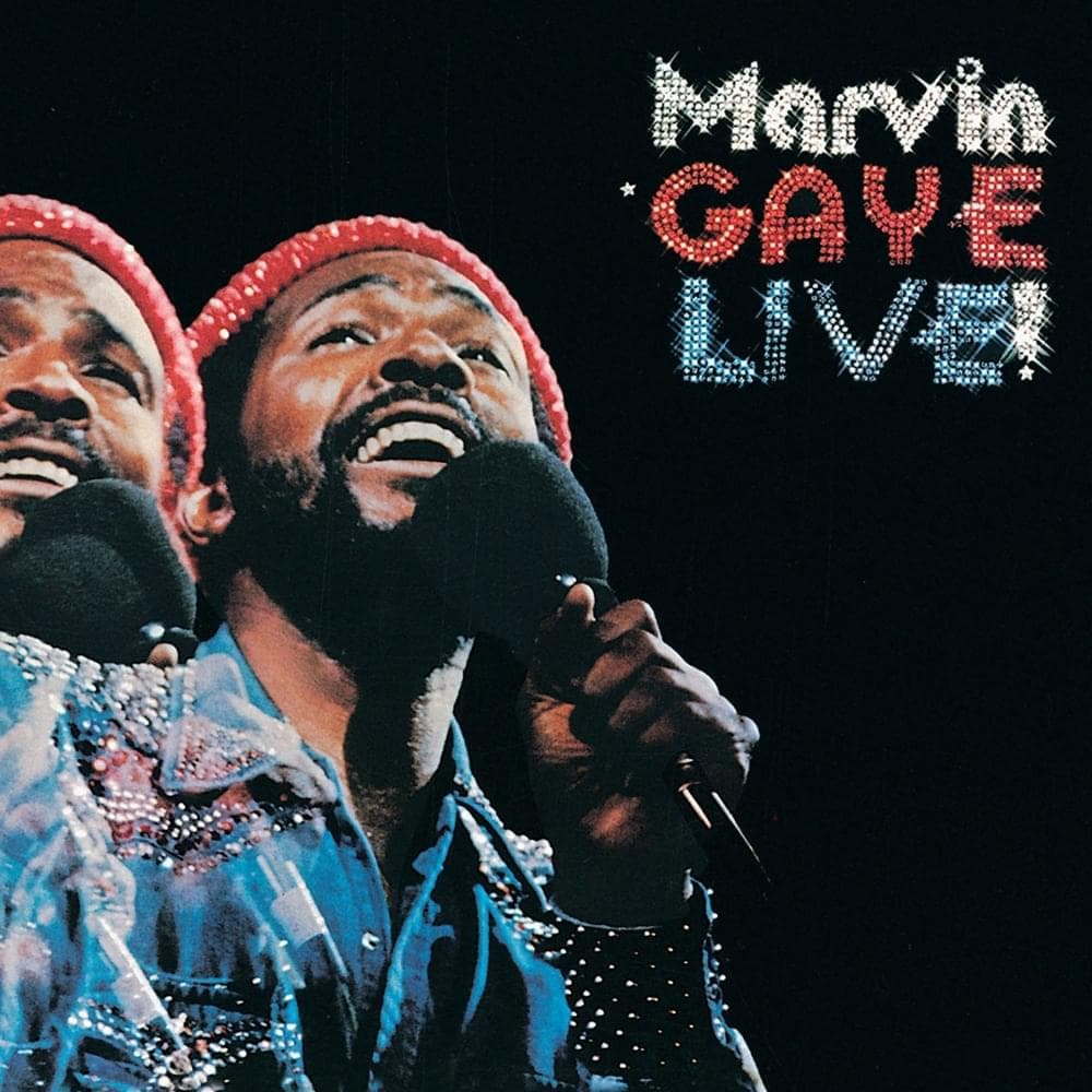 Album cover art for "W24 - Seize The Day (English Translation)" by Marvin Gaye